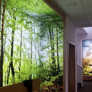 Lichtwand mit Waldmotiv im Flur