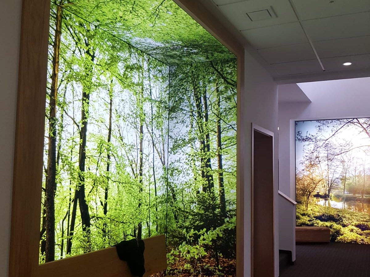 Lichtwand mit Waldmotiv im Flur