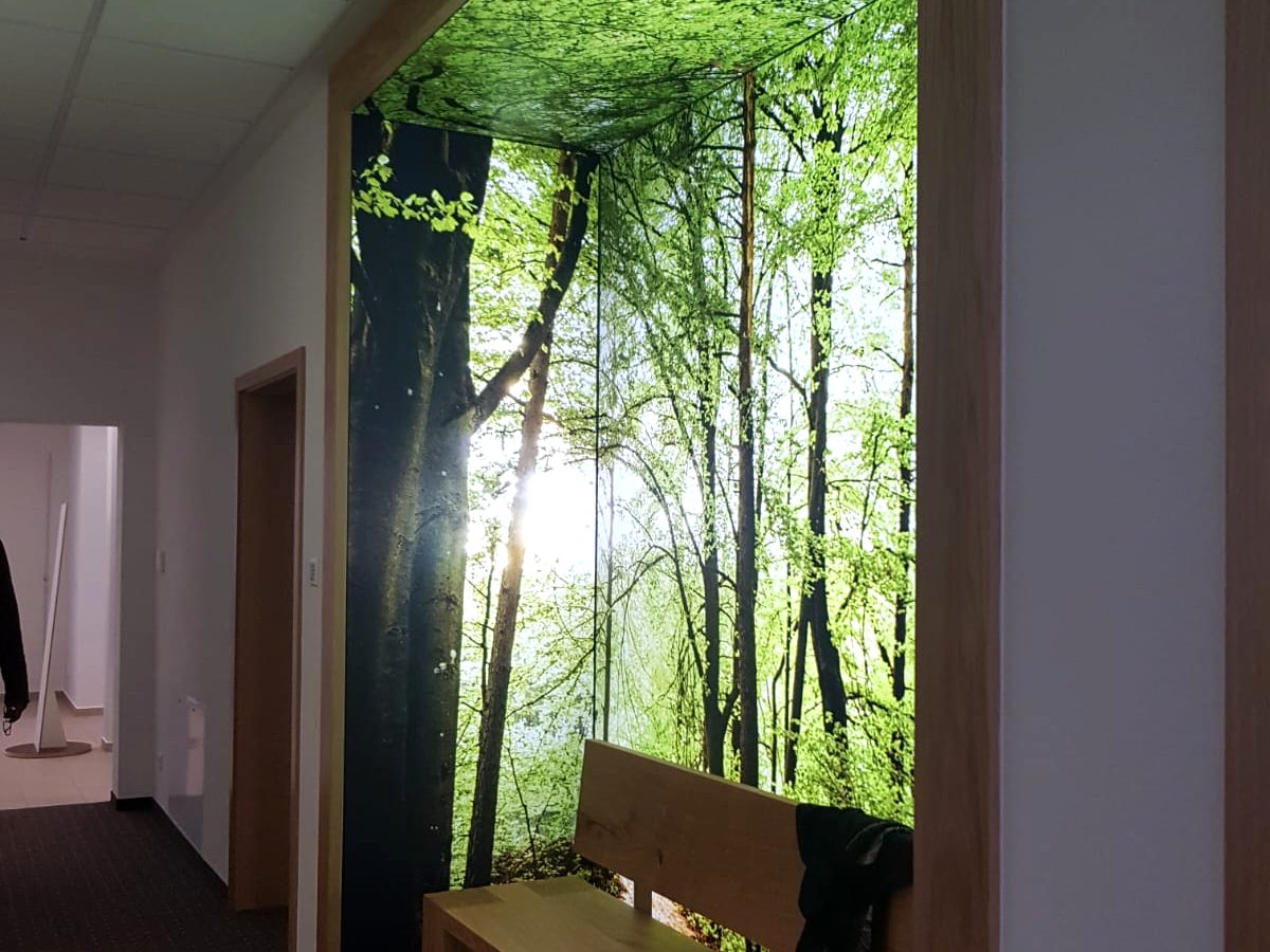 Lichtwand mit Sitzbank, Waldmotiv
