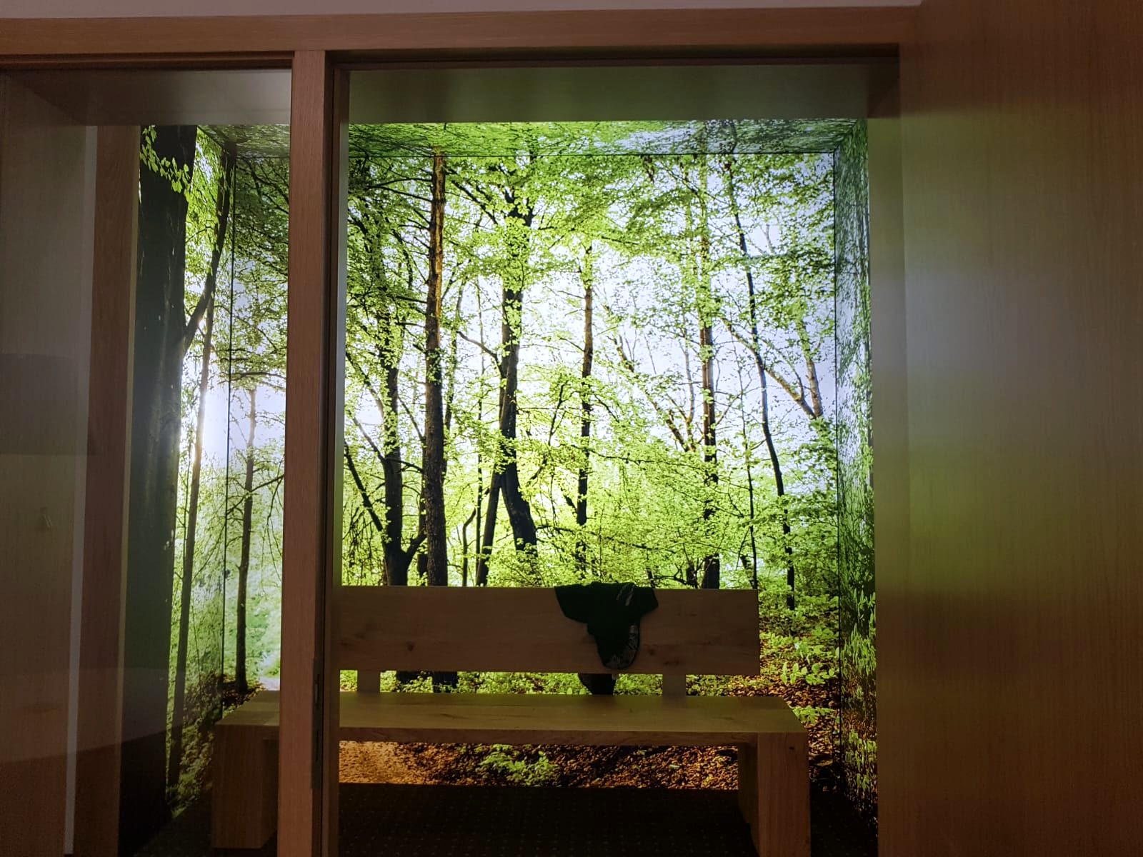 Lichtwand mit Waldmotiv